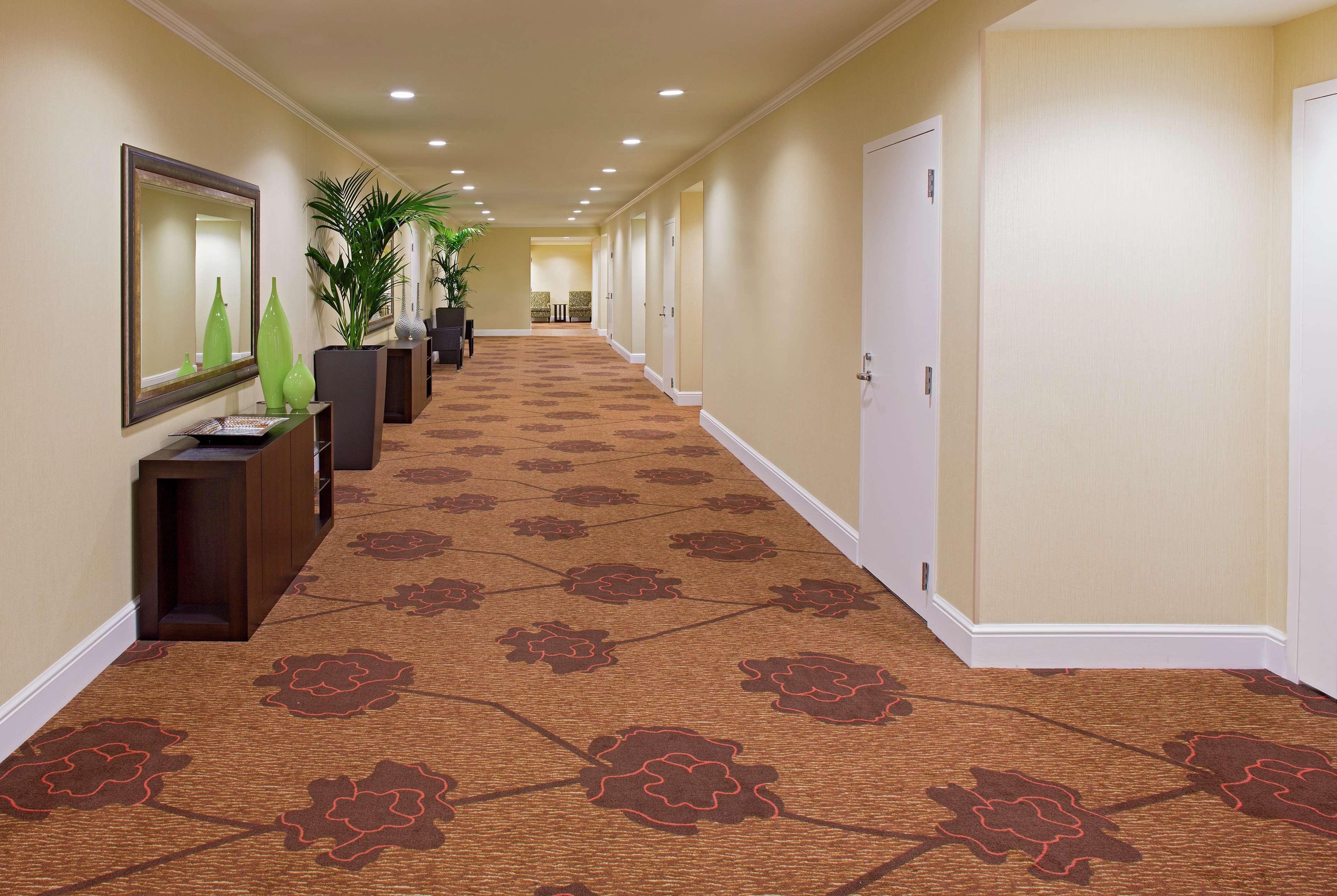 Hilton Garden Inn New Orleans French Quarter/Cbd מראה חיצוני תמונה