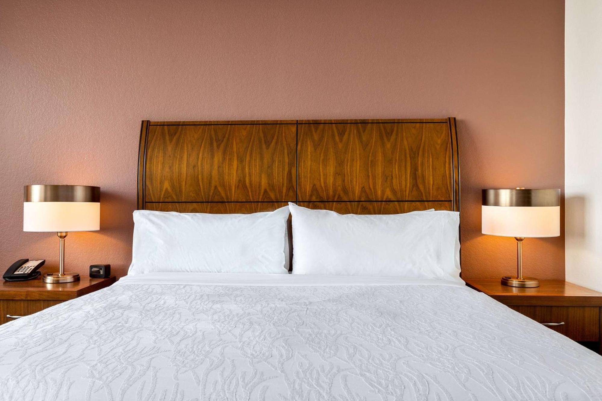 Hilton Garden Inn New Orleans French Quarter/Cbd מראה חיצוני תמונה