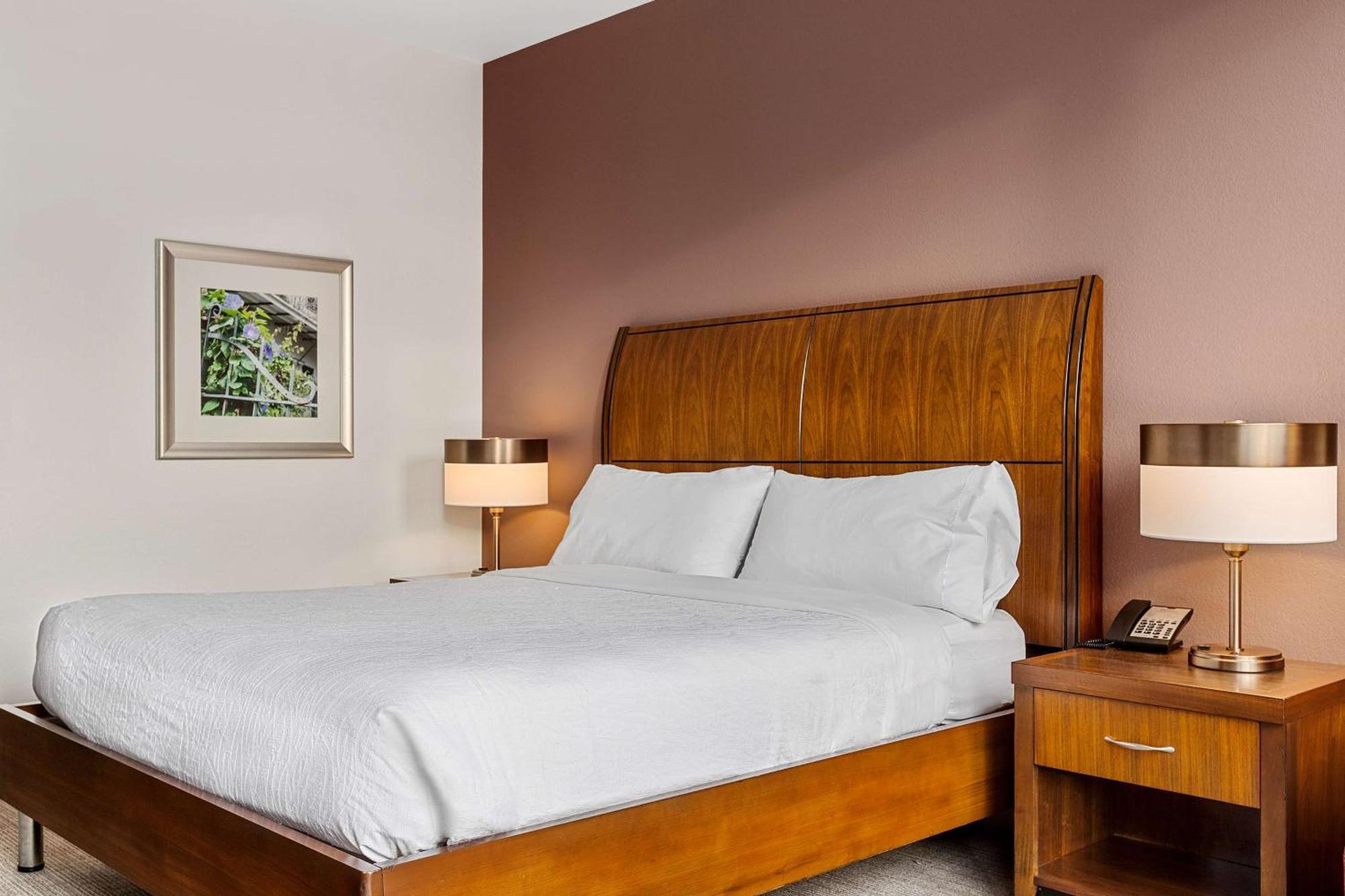 Hilton Garden Inn New Orleans French Quarter/Cbd מראה חיצוני תמונה
